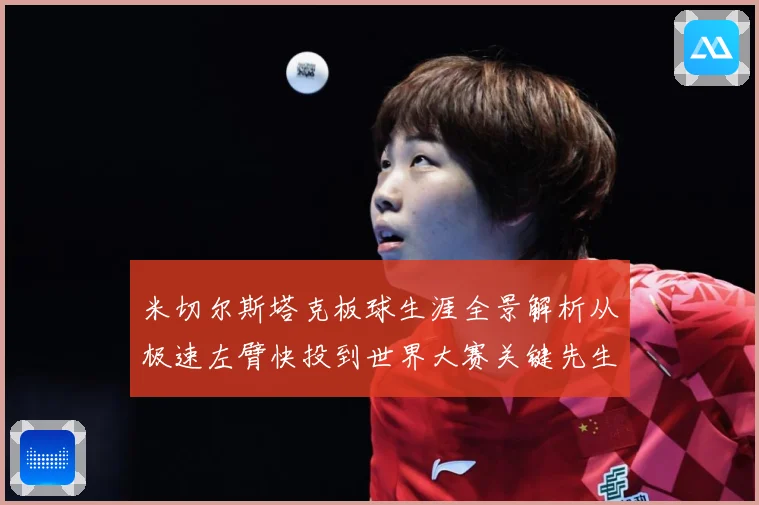 米切尔斯塔克板球生涯全景解析从极速左臂快投到世界大赛关键先生之路：最新赛事动态与深度分析
